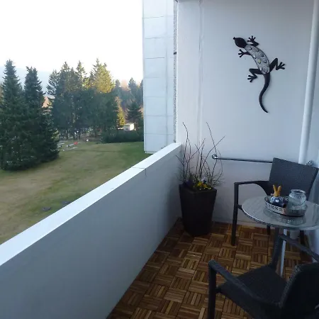 Apartment Fewo Singer Im Ferienpark Hahnenklee